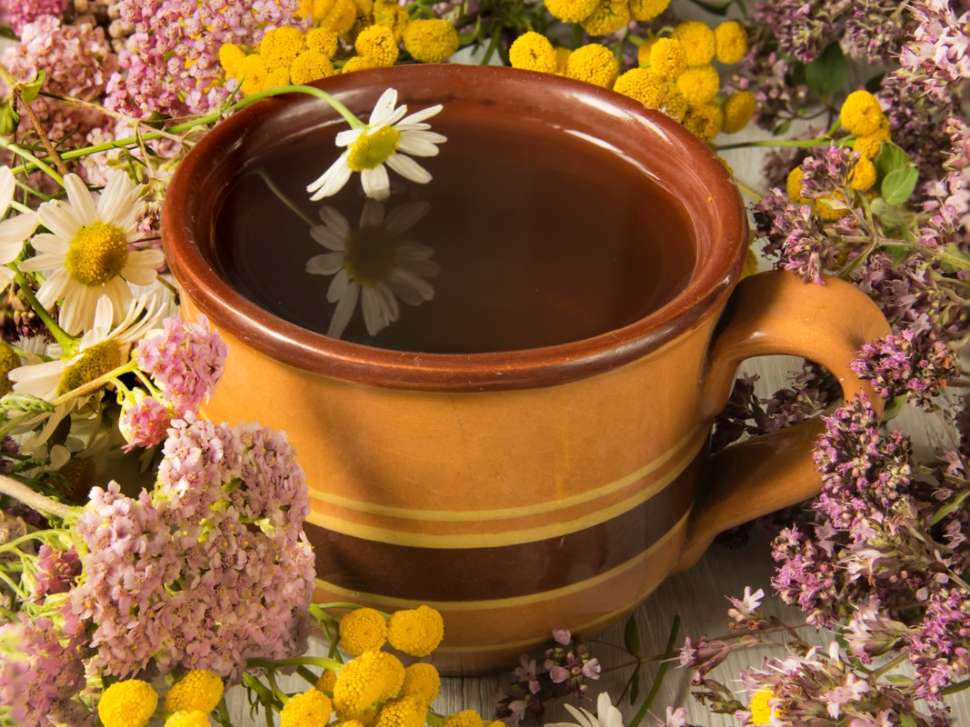 Herbal tea preparation
